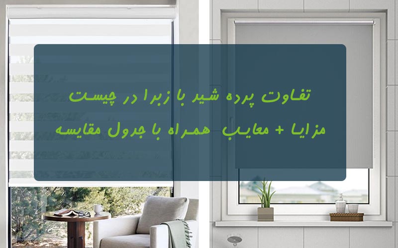 تفاوت-شید-و-زبرا